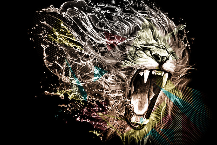 Image Result For Zedge Wallpapers Animals Image Result For Zedge Wallpapers Animals