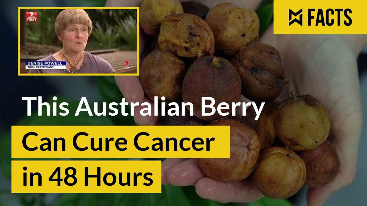Scientists find Australian berry to cure cancer in 48 hours! Mystical