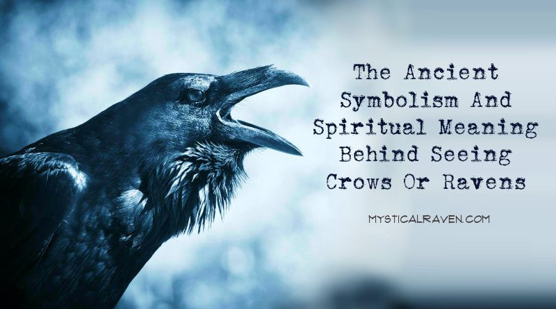 the raven symbolism The raven is an example of symbolism symbolism is the use of symbols to signify ideas and qualities by giving them symbolic meanings that are different from their literal. the raven symbolism The raven is an example of symbolism symbolism is the use of symbols to signify ideas and qualities by giving them symbolic meanings that are different from their literal.