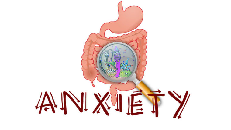 Scientists link gut bacteria to anxiety disorders - Featured image