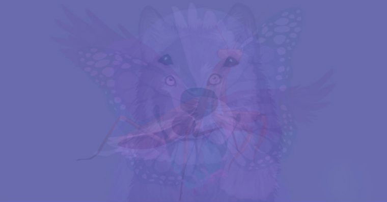 The Animal You See First In This Picture, Reveals The Essence Of Your Soul - Featured image