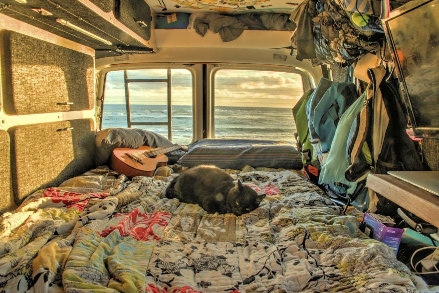 cat sleeping in a van