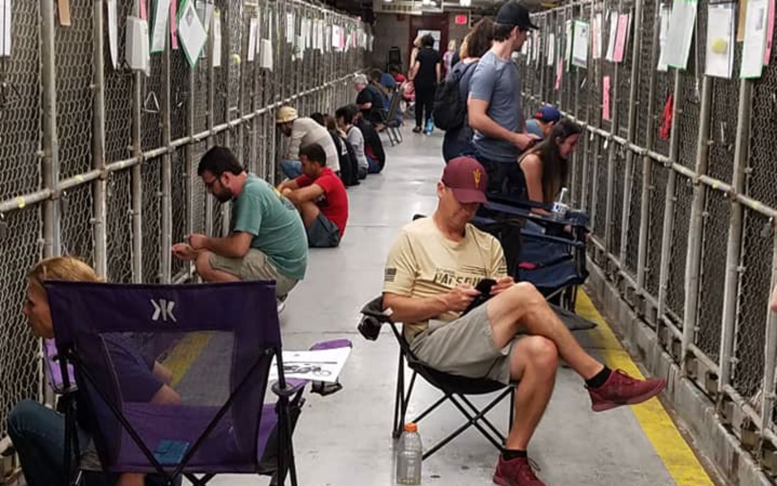 Instead of Going Out This 4th of July, These People Comforted Scared Shelter Animals During Fireworks