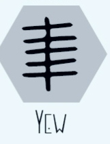 yew