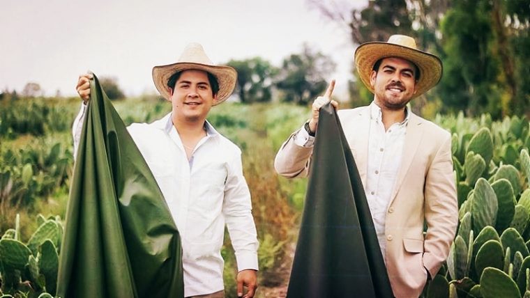These Guys In Mexico Just Created Vegan Leather From Cactus And It’s Better Than The Real Thing - Featured image