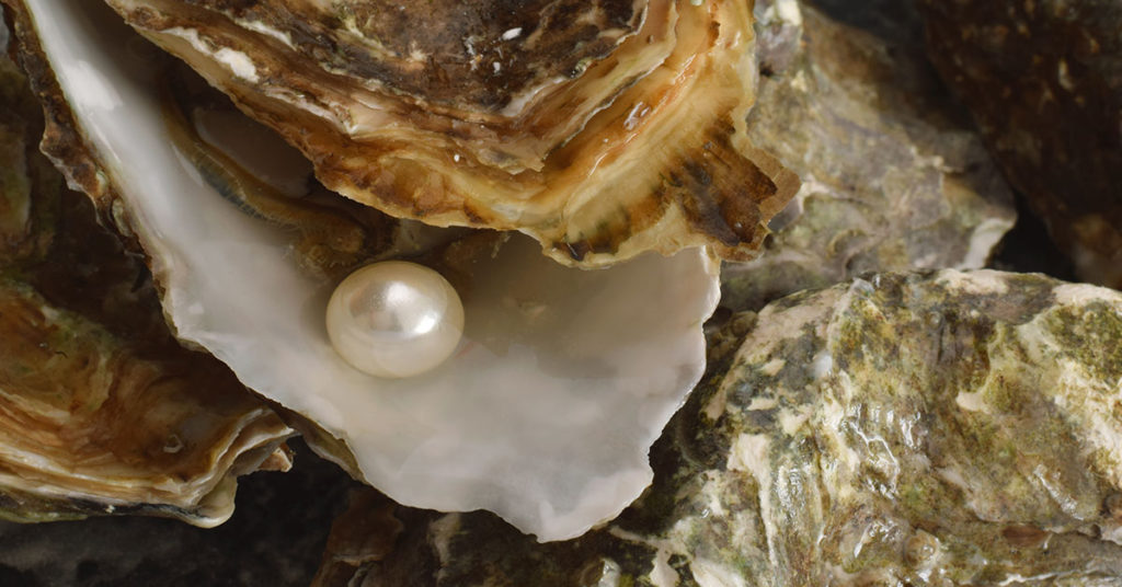 Japanese Artist Hand-Carves Pearls Into Exquisite ‘Fairy Skulls’ - Featured image