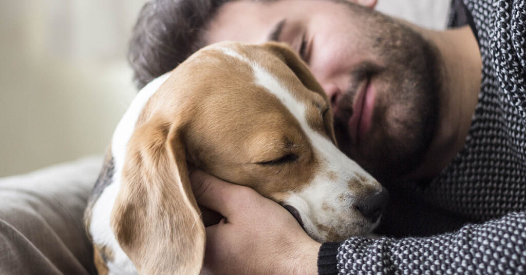 Many People Have Found Their Soulmate in a Pet - Featured image