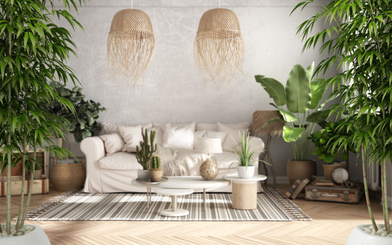 Zen interior with potted bamboo plant, natural interior design concept, old style living room in beige tone, Sofa, carpet, pillows, tables with decors and plants, architecture concept, 3d illustration