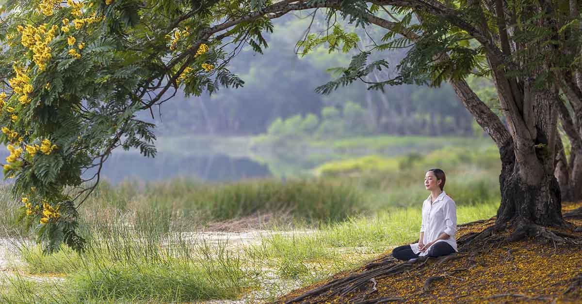 woman sitting under tree in forested area