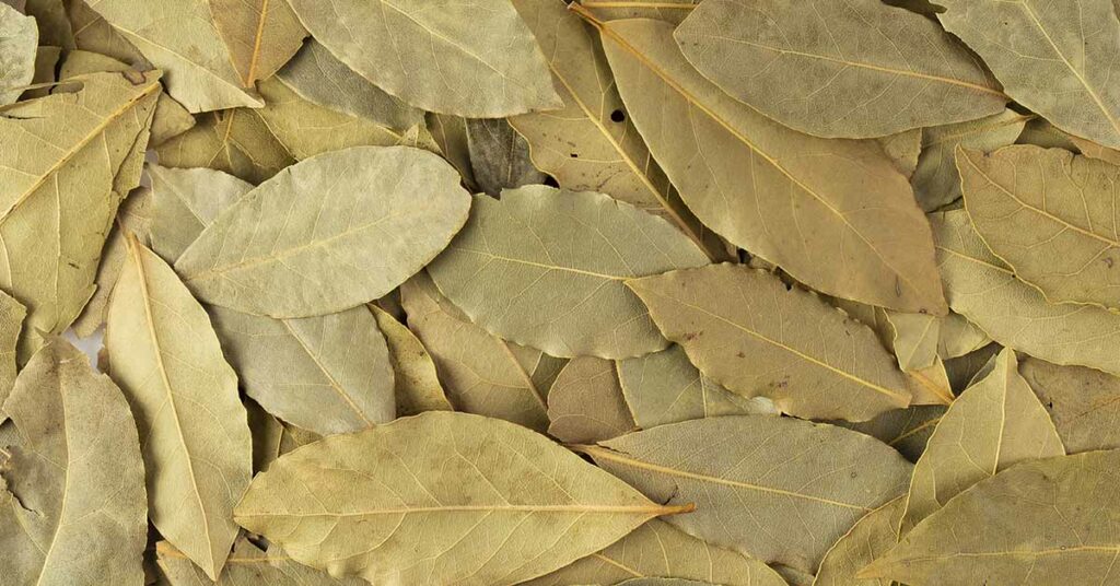The Significance of Burning Bay Leaves in Your Home - Featured image