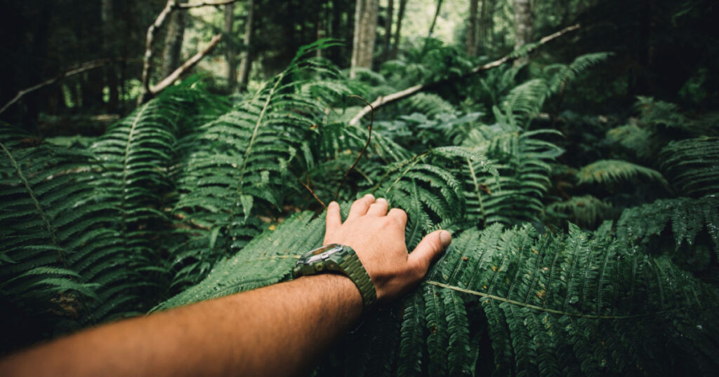 Close up of explorer male hand in green rainy forest.Survival travel,lifestyle concept.
