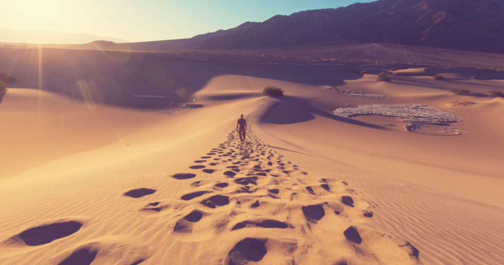 Hiker in sand desert. Sunrise time.

