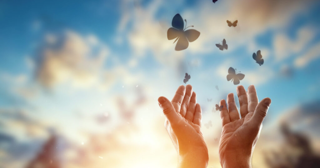 Hands close up on the background of a beautiful sunset, a flock of butterflies flies, enjoying nature. The concept of hope, faith, religion, a symbol of hope and freedom.
