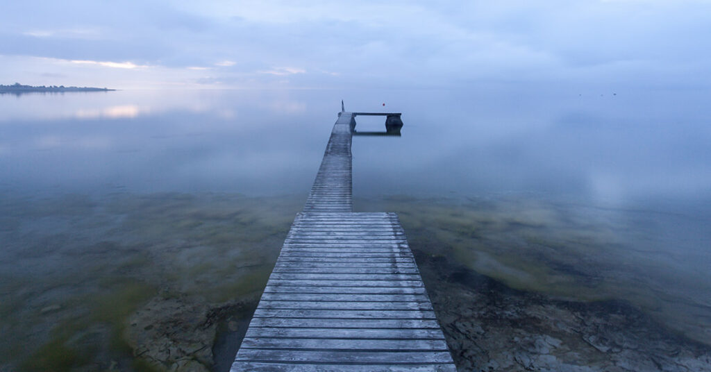 Are You an Optimist or a Cynic? This Optical Illusion Will Reveal The Truth - Featured image