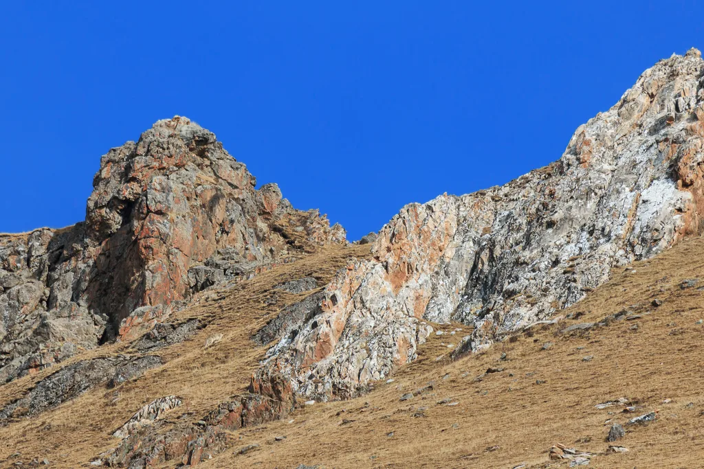 Spot the snow leopard in this picture.