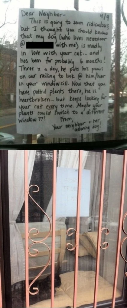The letters shared between the neighbors talking about their pets' love.