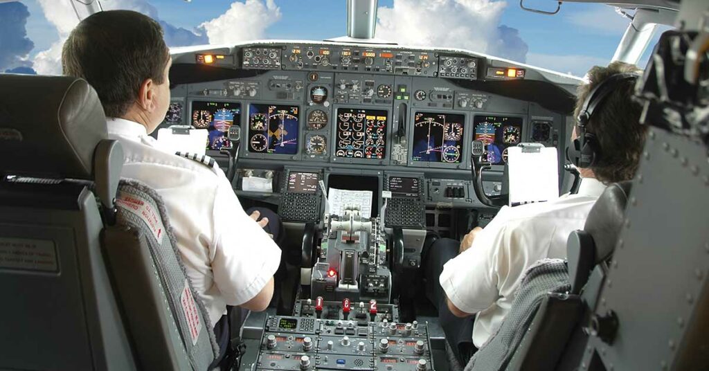 The pilot’s emotional reaction when he discovered why birds were flying alongside the plane – a Short Story - Featured image