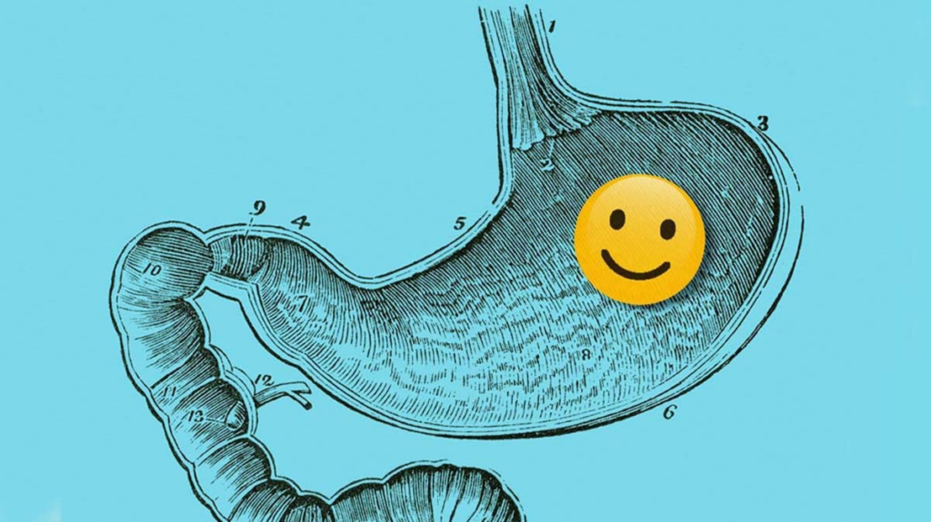 6 Foods That Are Good for Gut Health - Featured image