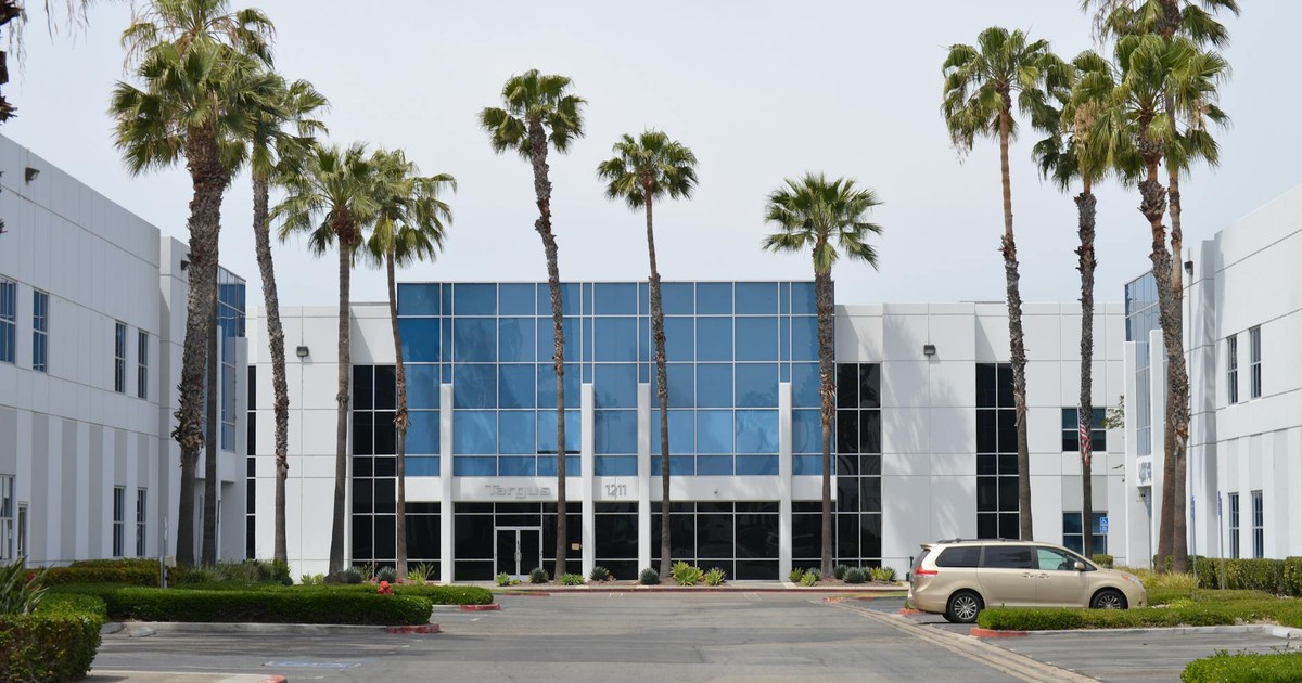 Contemporary glass office building with palm trees and a parked car in daylight.