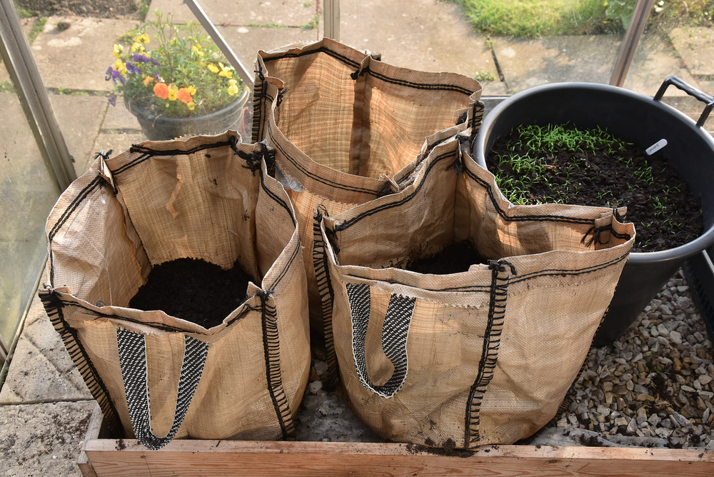 gardening bags in greenhouse