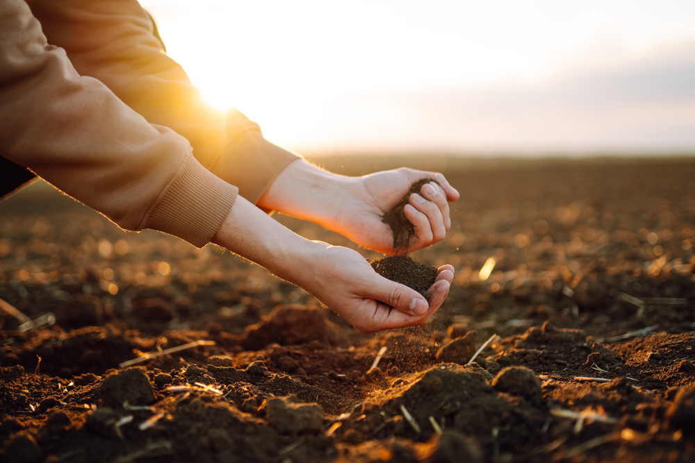 farmer holding soil for moisture test
