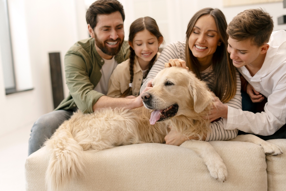 8 Dog Breeds That Give Big Families An Even Happier Home - Featured image