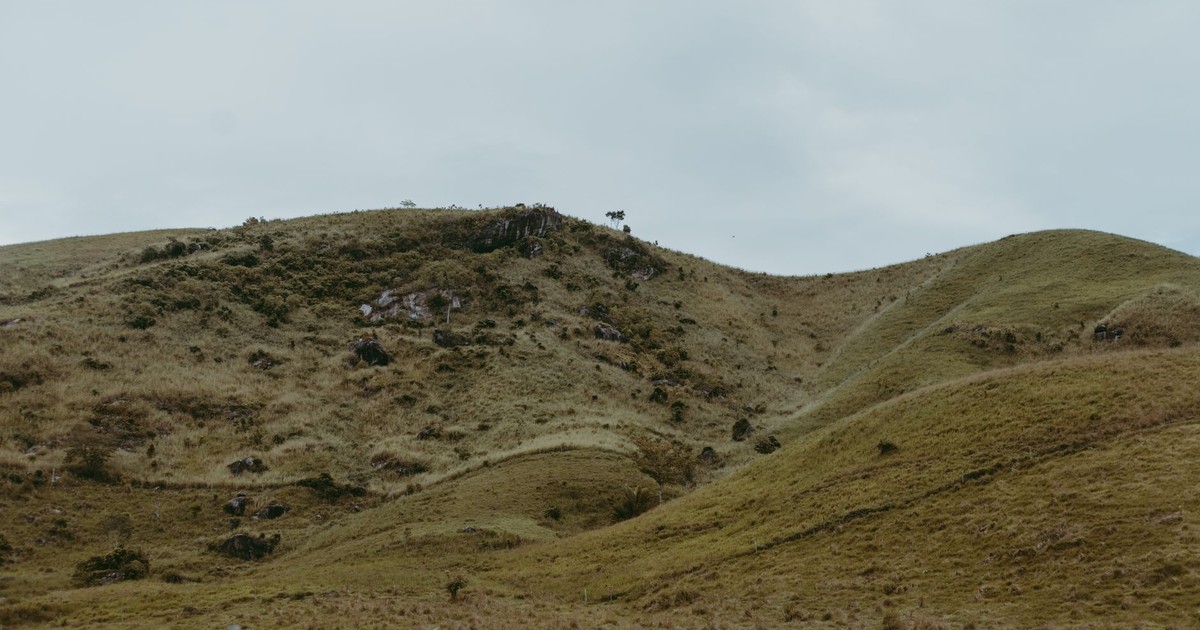 A tranquil view of rolling green hills in a rural countryside setting under an overcast sky.