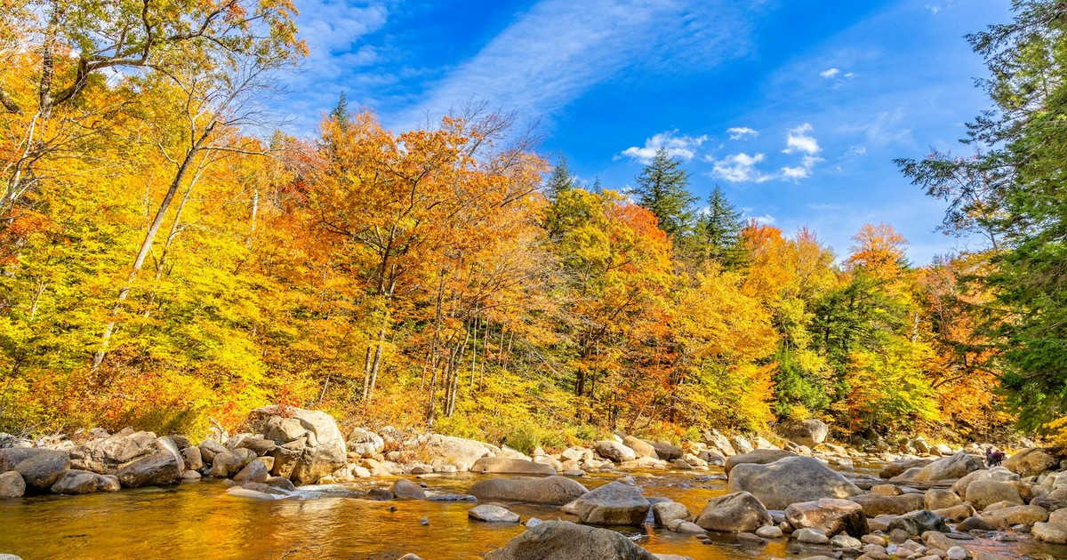 A beautiful autumn scene with vibrant foliage and a clear blue sky in Lincoln, NH.