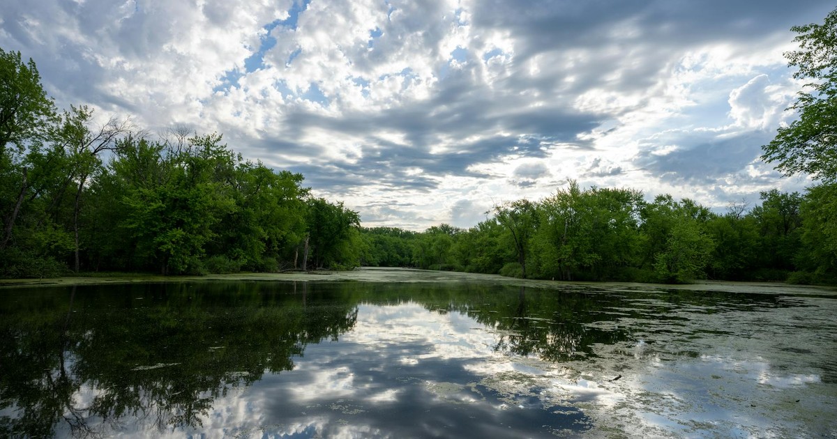 A tranquil lakeside scene with trees reflecting in calm waters under a partly cloudy sky in Wabasha, MN.