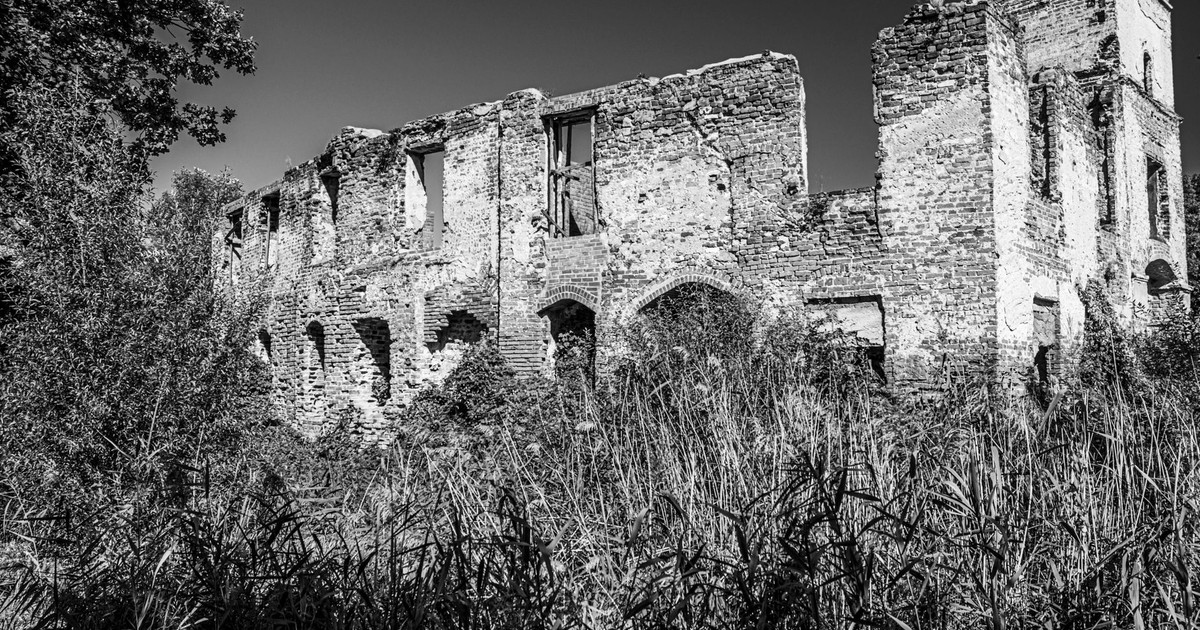 Black and white photo of ancient abandoned ruins overgrown by nature.