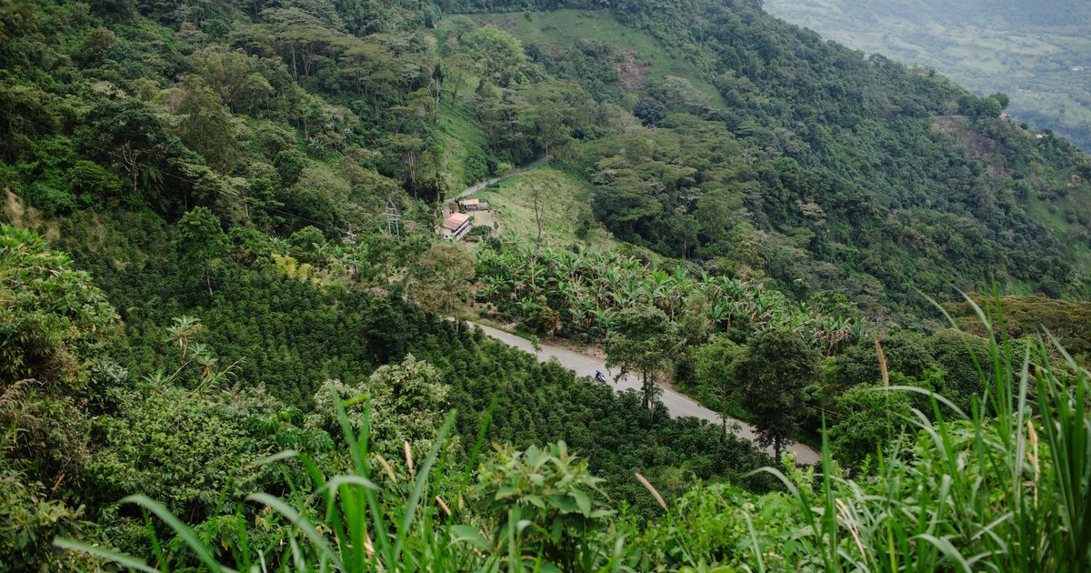 Stunning aerial view of lush green mountains and farm in Jericó, Antioquia, Colombia.
