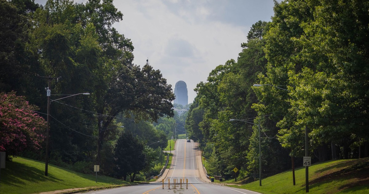 Beautiful tree-lined road leading into a city with a visible skyline, captured during the day.