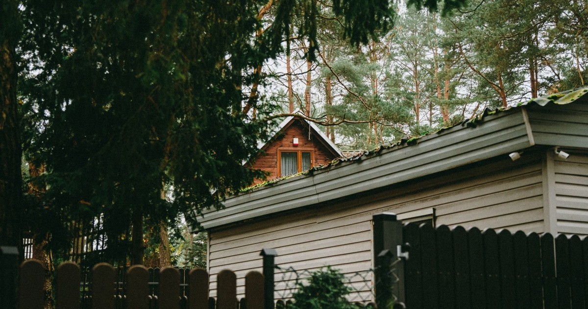 Quaint wooden house nestled in a tranquil Polish forest, surrounded by tall trees.