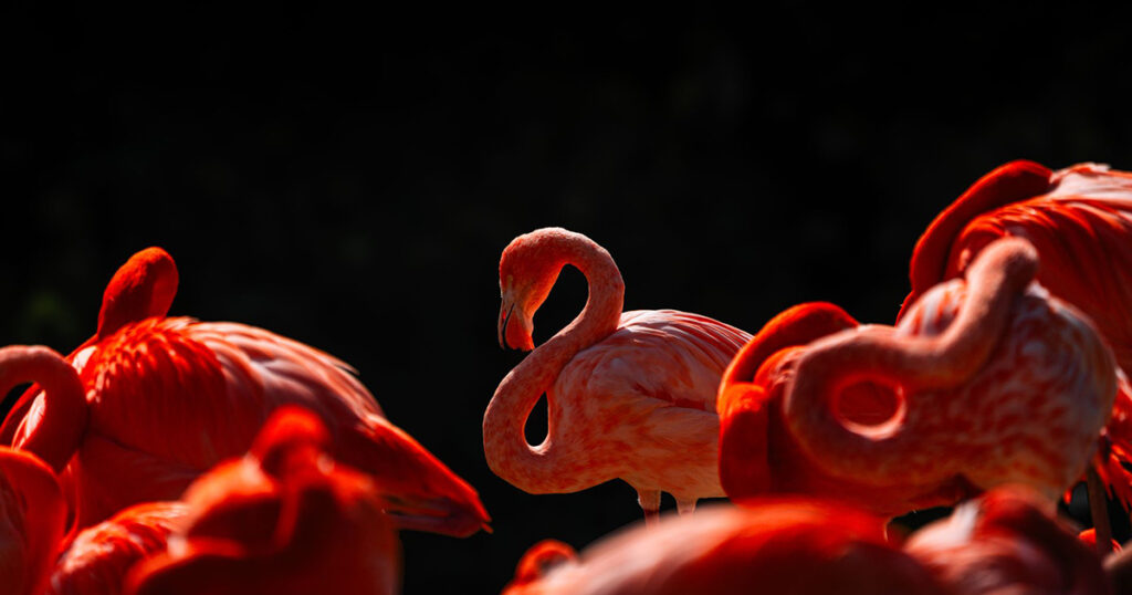 The #1 Retirement Community in Florida Is a Small River Town Full of Wildlife (and it’s ranked 3rd in the nation) - Featured image
