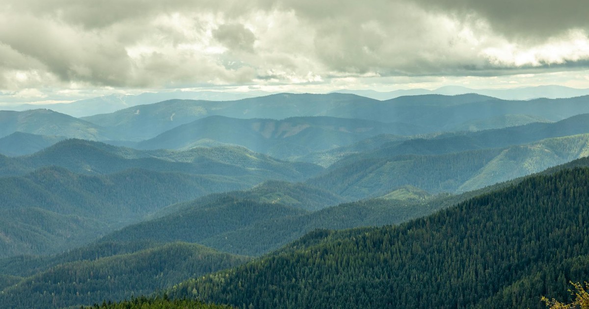Breathtaking view of Idaho's mountain ranges with lush forests and dramatic cloudy skies.