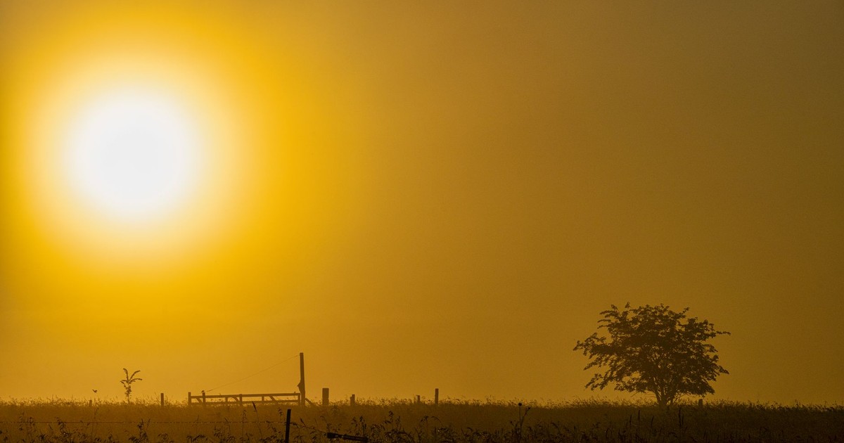 Captivating sunset with silhouettes of a tree and landscape in Kellogg, Minnesota.