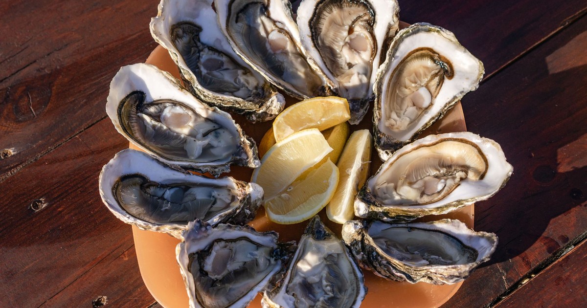 Close-up of fresh oysters served with lemon slices on a wooden table.