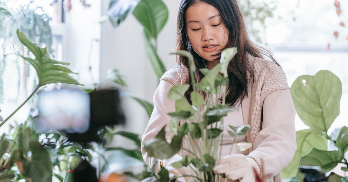 Asian woman nurturing plants indoors, surrounded by lush houseplants for indoor gardening.