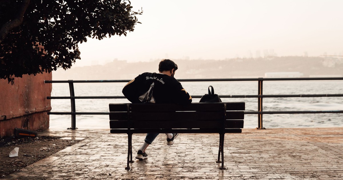 Back view of unrecognizable male in sport clothes sitting on bench on embankment near green tree against backdrop of cityscape