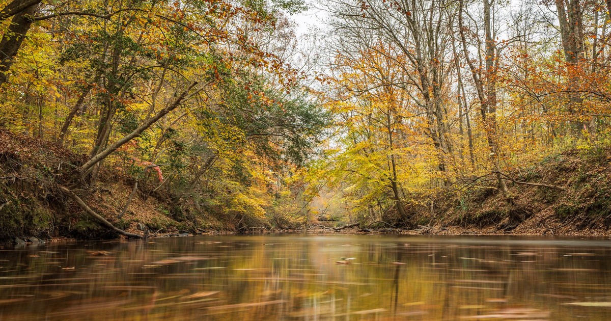 Autumn scene of a tranquil river reflecting colorful leaves in a peaceful forest.