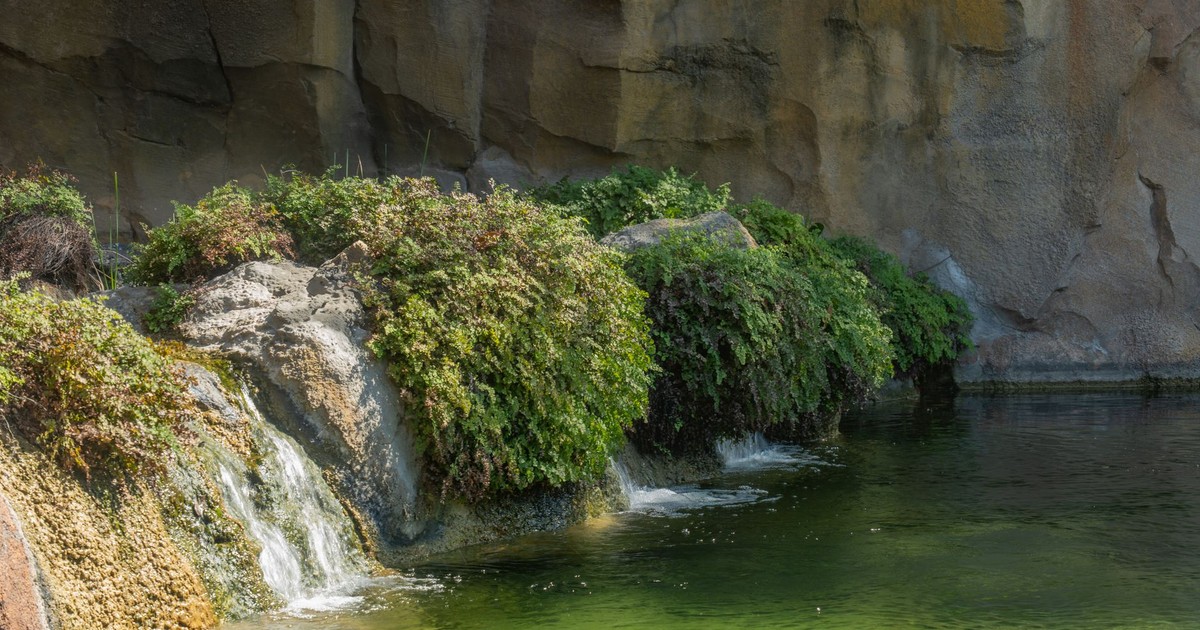 Peaceful waterfall cascading over rocks in a Valencia nature setting.