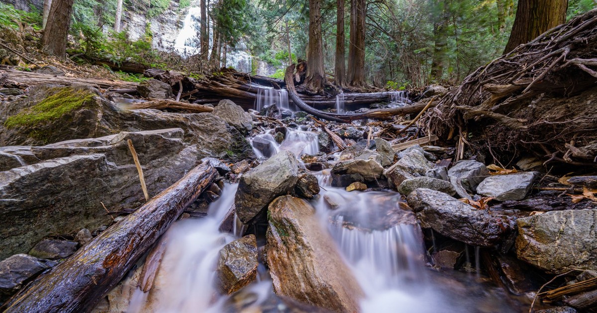 Serene forest scene with cascading waterfall and rocky stream in a lush green setting.