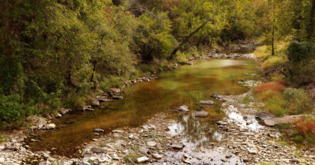 Peaceful creek flowing through lush Arkansas forest with autumn colors.