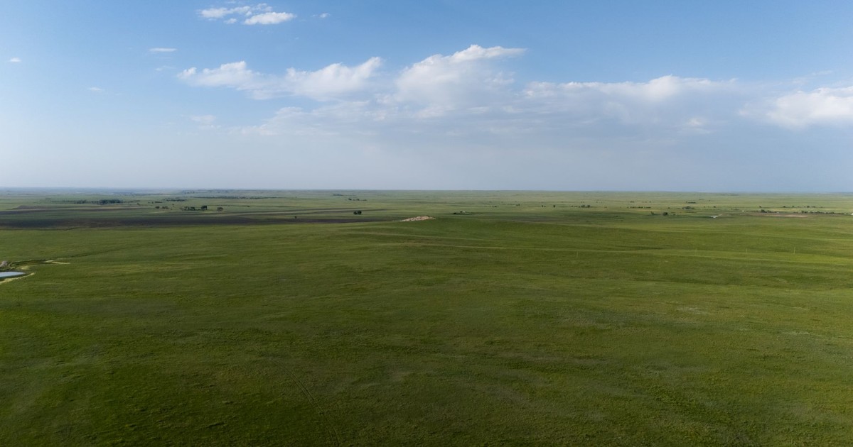 A wide view of sprawling grasslands with a clear blue sky, ideal for nature lovers.