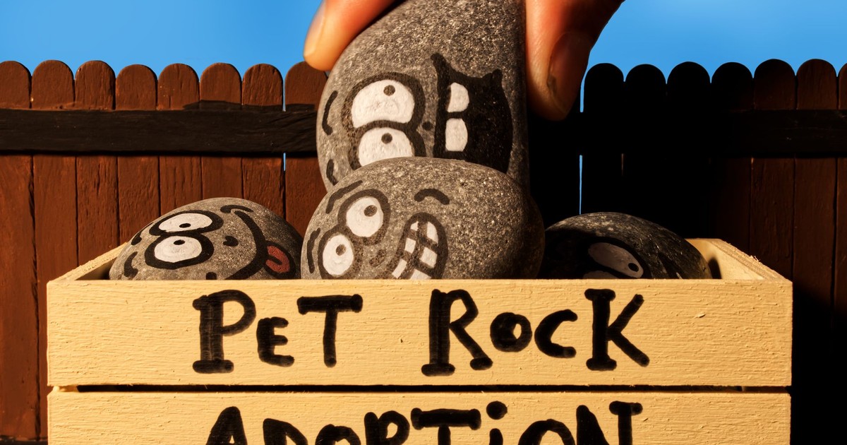 Amusing image of pet rocks in a wooden box, simulating adoption scene with painted faces.