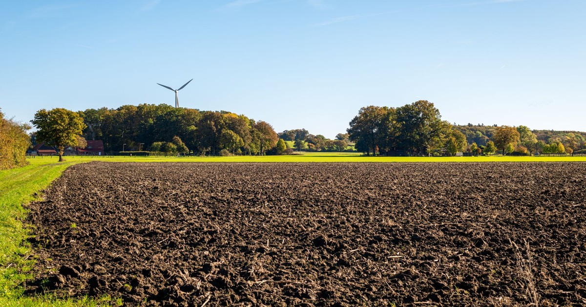 A wind turbine stands near a plowed agricultural field with trees and blue sky in the background.