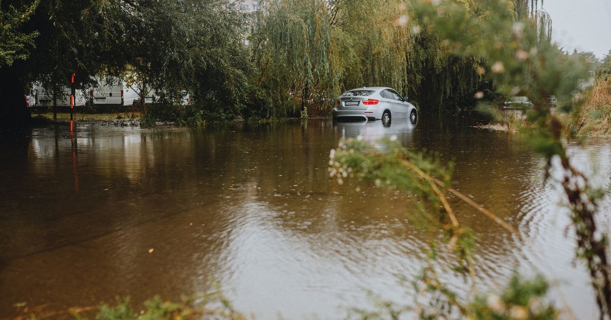 A silver car partially submerged in floodwaters surrounded by trees, reflecting environmental impact.