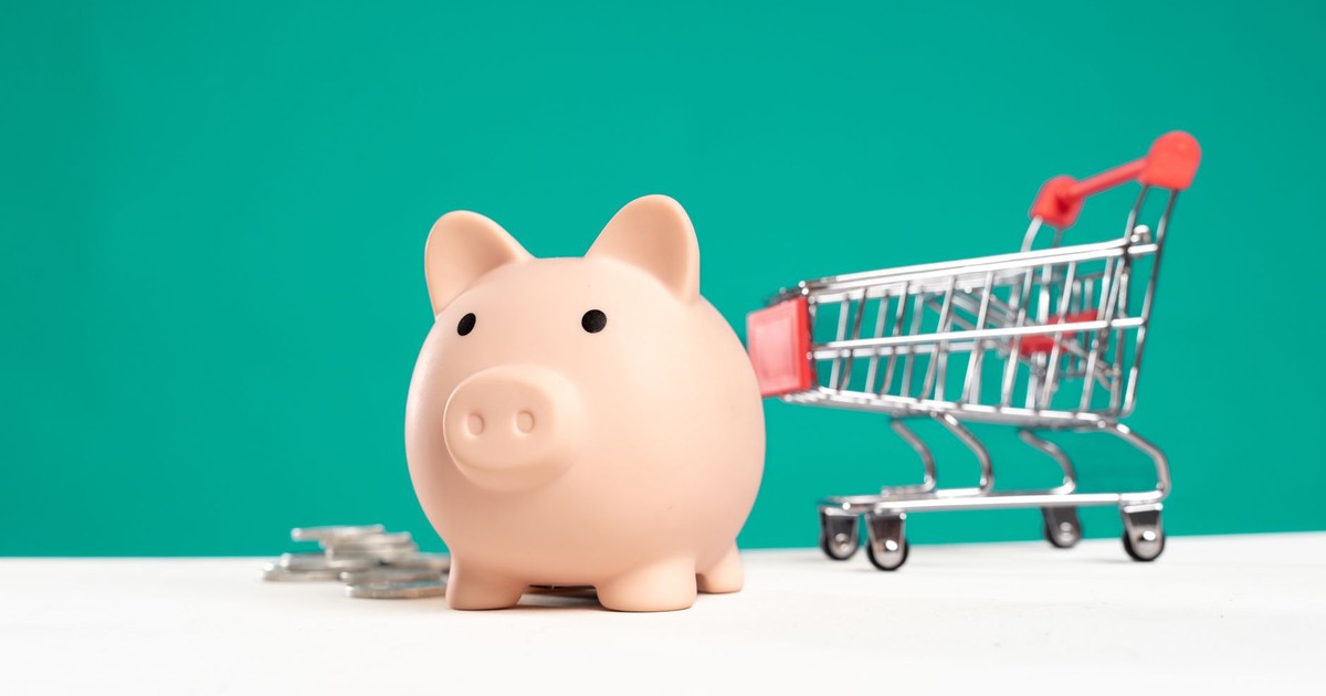 Piggy bank with shopping cart and coins on a white and teal background, symbolizing saving and spending.