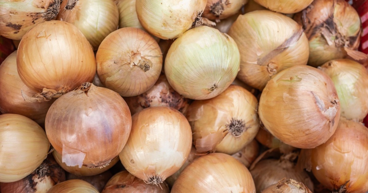 A close-up of fresh organic onions displayed at a market in Bornova, İzmir, Türkiye.