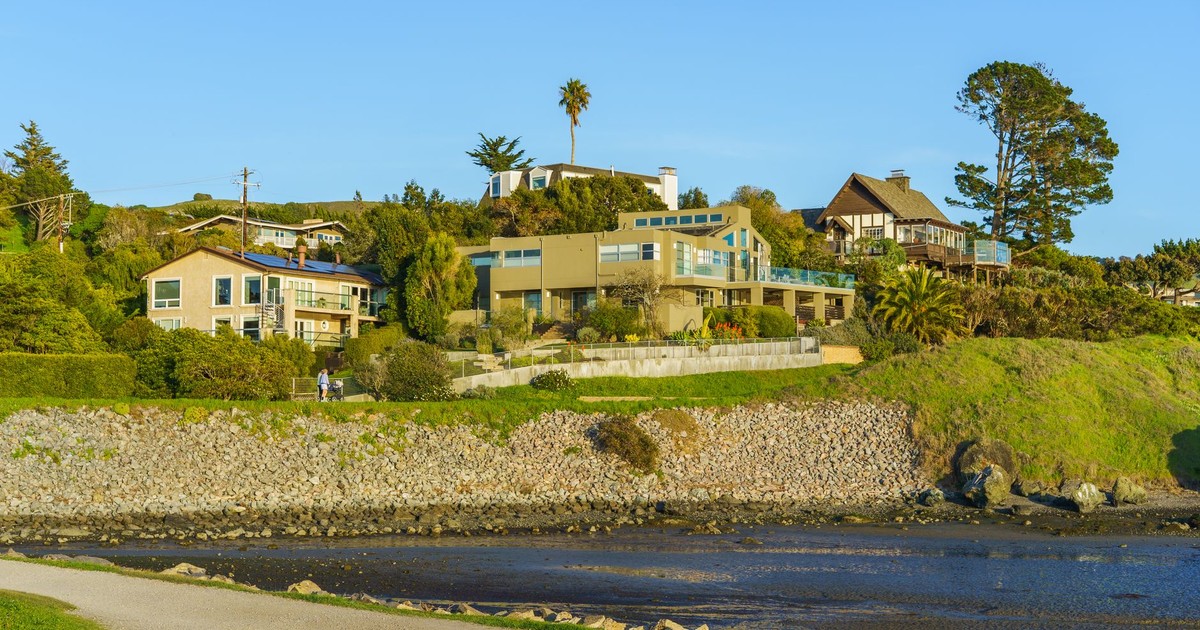 Charming coastal homes with lush greenery by a serene waterfront under a clear blue sky.